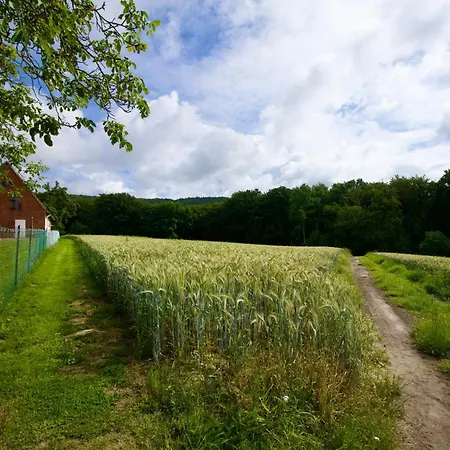 Holiday home Plattenberg