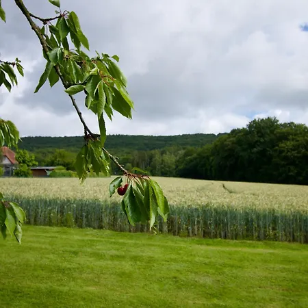 Plattenberg * バート・エーンハウゼン