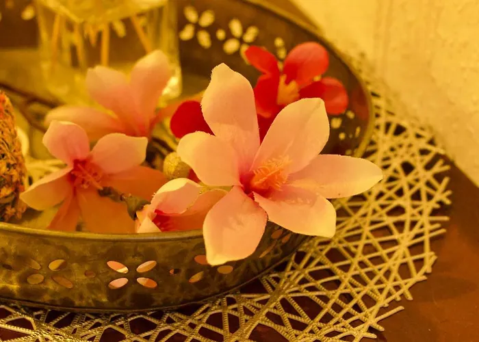 Plattenberg Feriehus