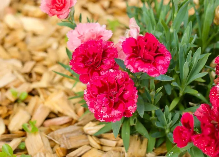 Plattenberg Bad Oeynhausen