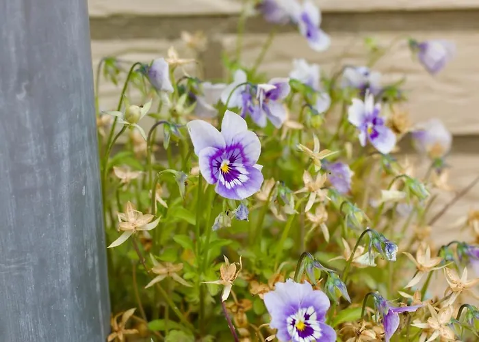 Plattenberg Feriehus