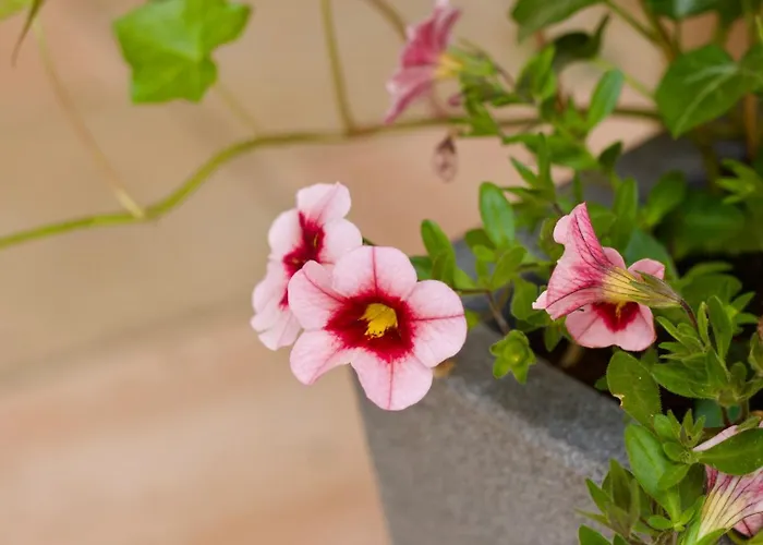 Feriehus Plattenberg